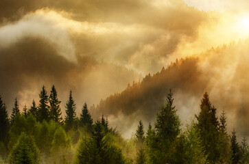 Misty mountain landscape