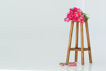 Pink tulips on a chair, white background, space for text