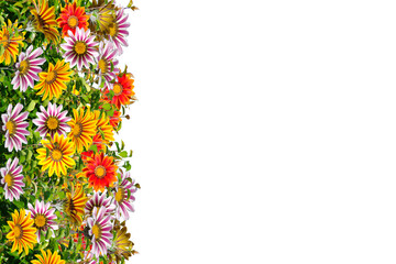 greeting card with flowers arranged in the side on a white background