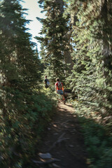 Fototapeta premium People hiking