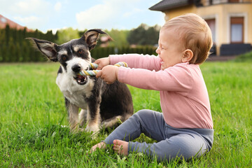 Adorable baby and furry little dog on green grass outdoors - Powered by Adobe