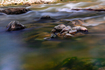 stream in the forest