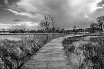 A black and white picture of a landscape with an old wooden bridge over a lake bending to the right, dark clouds trees without leaves and grass and reed in the water