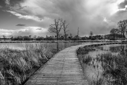 A black and white picture of a landscape with an old wooden bridge over a lake bending to the right, dark clouds trees without leaves and grass and reed in the water