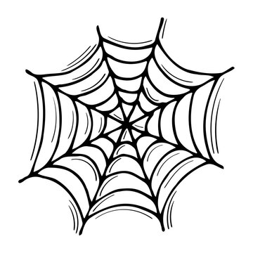 Hand drawn spider web. Halloween background. Doodle style cobweb