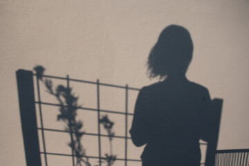 A blue, black silhouette of a woman on a yellow, white wall with also the shadow of a rack and flowers and a little tree