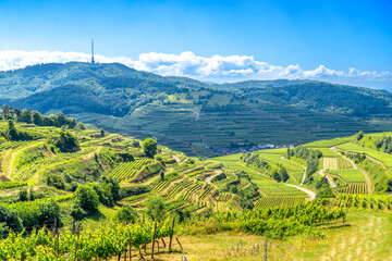 Texaspass, Kaiserstuhl, Weinberge, Endingen, Baden Württemberg, Deutschland 