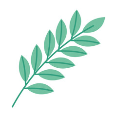 branch with green leafs