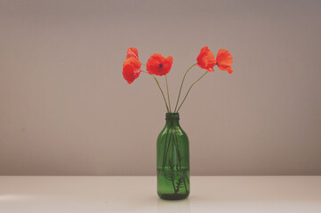 Bouquet of red poppies in a green glass vase