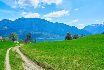 Fototapeta na wymiar Alpine meadows, mountains, Attersee lake and road near Unterach in Upper Austria