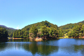 Fototapeta premium big lake in the middle of forest with blue sky and pines on presa del llano village of carbon
