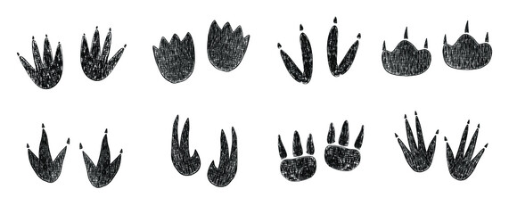 Dinosaur footprint set in hand drawn sketch style © Yulia Zelinskaya