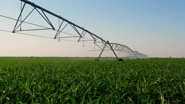 Cinematic nature at sunset. Flying above the water spraying the green farm field. Beautiful sun rays magically highlighting the sprinkling water drops. Ideal background stock footage with copy space