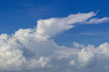 Fototapeta premium blue sky with clouds