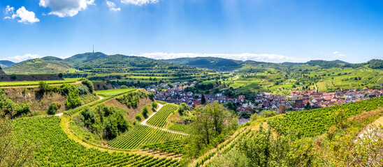 Obraz premium Texaspass, Kaiserstuhl, Weinberge, Endingen, Baden Württemberg, Deutschland 