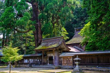 若狭小浜　若狭姫神社（下社）