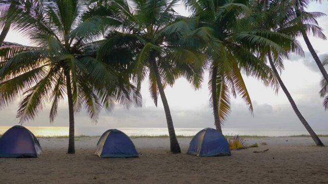 Three Camping Tents Under Palm Trees On The Beach camping site, Morining