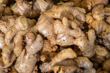 fresh organic ginger from farm close up from different angle