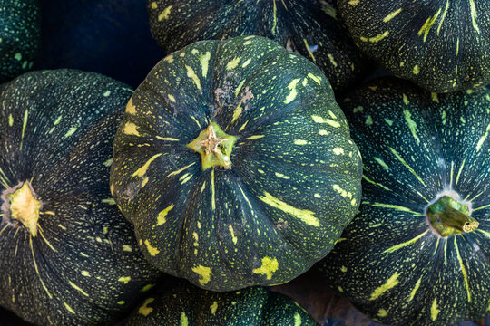 fresh organic green pumpkin from farm close up from different angle