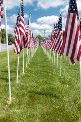 American flags displaying on Memorial Day.