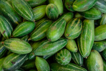 fresh organic pointed gourd from farm close up from different angle