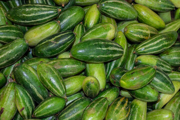 fresh organic pointed gourd from farm close up from different angle