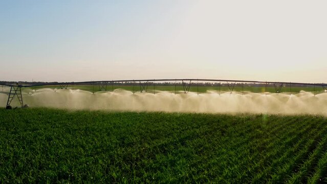 Cinematic nature at sunset. Flying above the water spraying the green farm field. Beautiful sun rays magically highlighting the sprinkling water drops. Ideal background stock footage with copy space