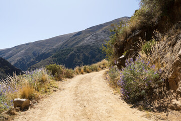 Camino trocha entre montañas