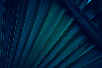abstract palm leaf texture, nature background, tropical leaf