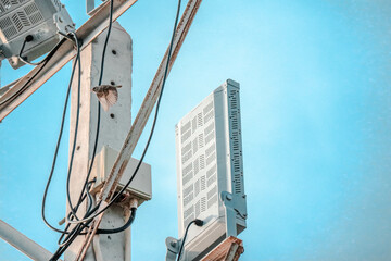 Warbler in Flight. Bird Flying. Birds flying in the sky. 