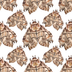 Seamless pattern watercolor beige brown moth or night butterfly isolated on white background. Insect with ornament for boho or hippie style. Art for tattoo, sticker wallpaper, wrapping sketchbook