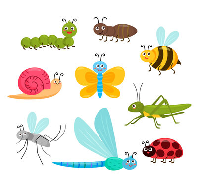 set of funny cartoon insects. funny butterfly, bee, ladybug and other garden animals.