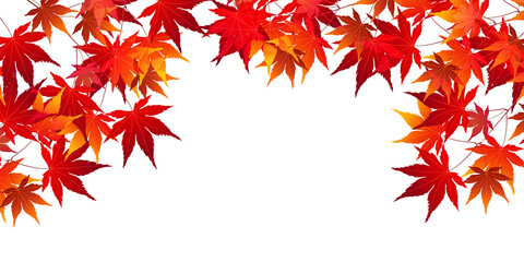 紅葉　もみじ　秋　背景