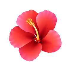 Realistic red hibiscus flower flat vector illustration 