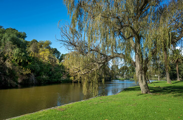 Trees, lake, and well-maintained grass lawn at the picturesque Coburg Lake Reserve, Melbourne Australia. Background texture of beautiful scenery at a suburban park with copy space for text.