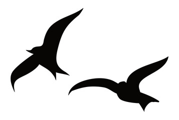 Silhouette of dark flying seagulls, Vector illustration