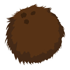 Hairy coconut in cartoon style over white background, Vector illustration