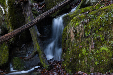 waterfall in the forest