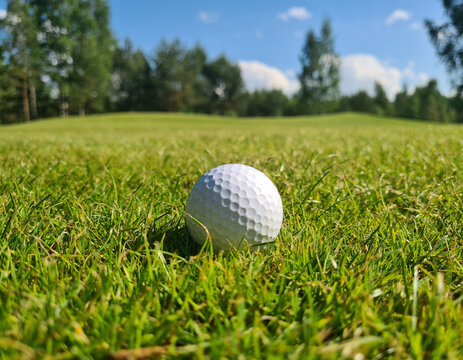Golf ball on green field. Golfing closeup