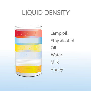 Liquid density, separate fluids layers. Different color material , honey, milk, water, oil, ethyl alcohol, lamp oil, In glass. illustration vector