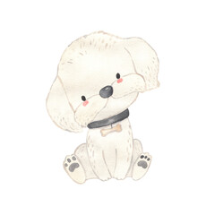 Watercolor Maltese. Dog illustration for kids