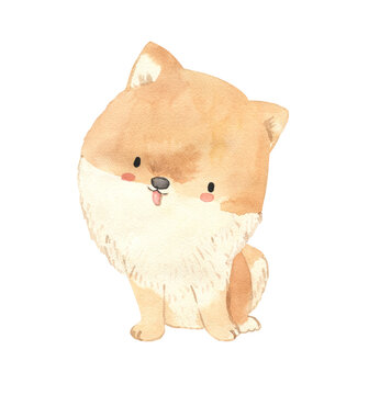 Watercolor Pomeranian. Dog illustration for kids