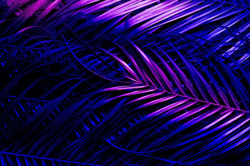 Neon tropical palm leaves as background, top view