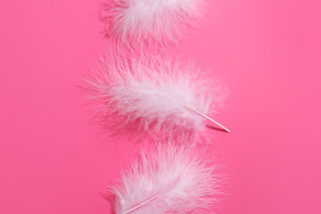 Obraz premium Beautiful white feathers on pink background, closeup