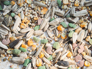 Cereals, sunflower seeds, corn, food for rodents, hamsters