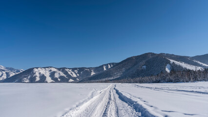 A road trampled by cars passes through an endless snow-covered valley. Ahead, against a clear blue sky, there is a wooded mountain range. Copy space. Altai