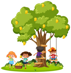 Obraz na płótnie Canvas Kids harvesting mango from tree