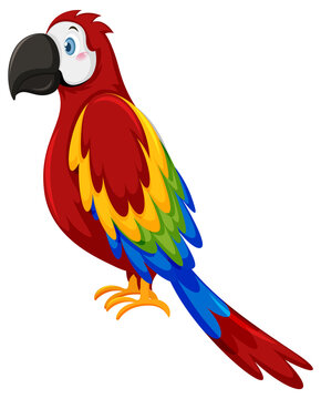 Parrot bird in cartoon style