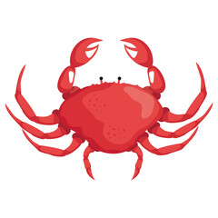 red crab animal