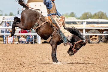 Cowboy On Bucking Bronco At Rodeo - obrazy, fototapety, plakaty